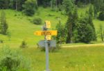 2014-07-05_Laengental-N-Hochweg (324)b. JPG